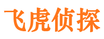 桃江市婚外情调查